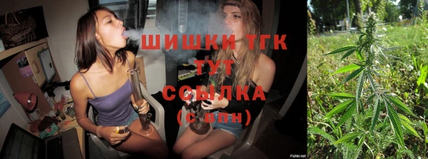 прущие грибы Пестово