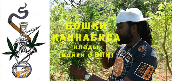 прущие грибы Пестово