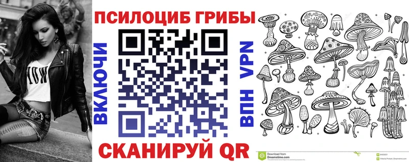 Купить где  Черноголовка  Псилоцибиновые грибы мицелий 